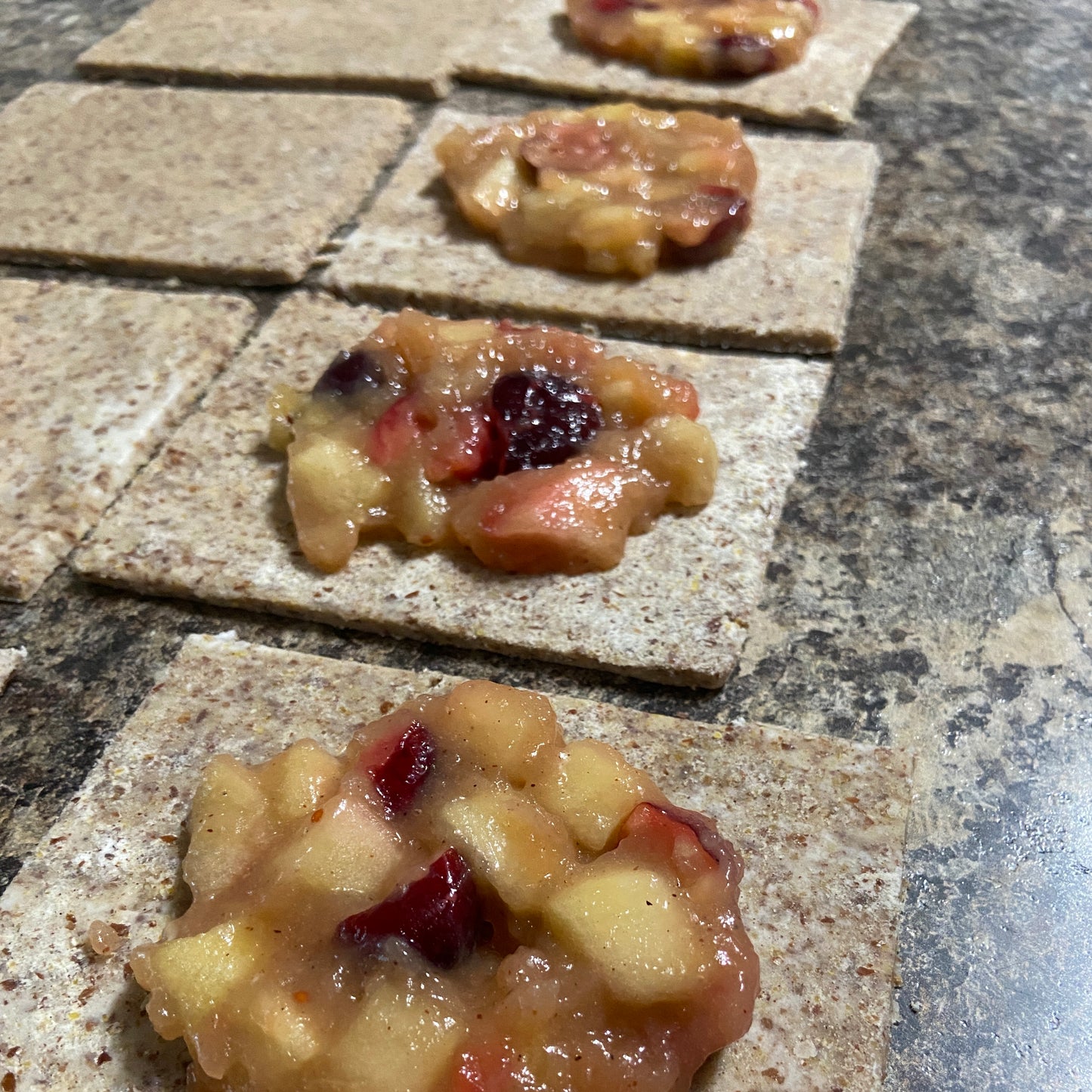 Cran I Kick It? Hand Pies (GF)