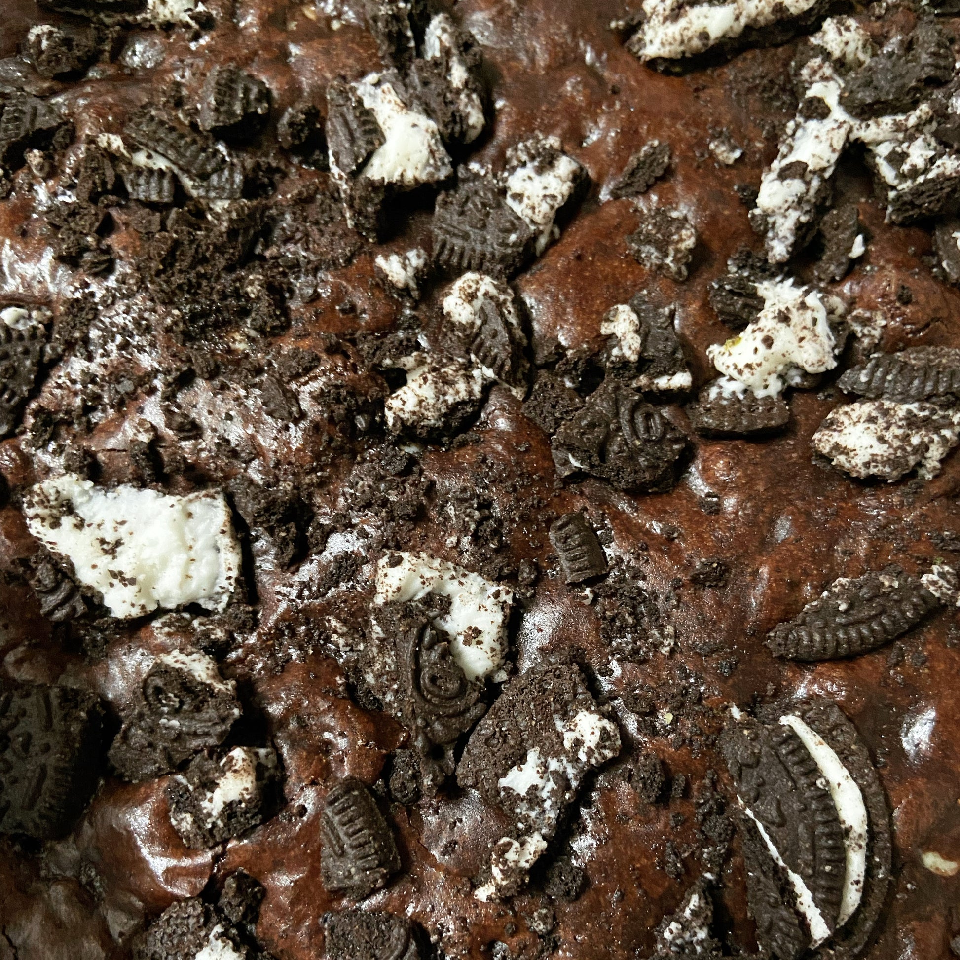 Brownie Eyed Girl (GF) A Matter Of Crust